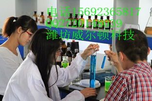 投资办厂中小型汽车用品加工厂全指南 从筹备到盈利的实战策略